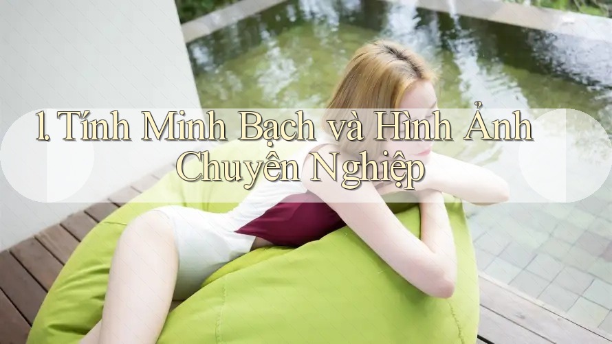 1. Tính Minh Bạch và Hình Ảnh Chuyên Nghiệp 1. Tính Minh Bạch và Hình Ảnh Chuyên Nghiệp