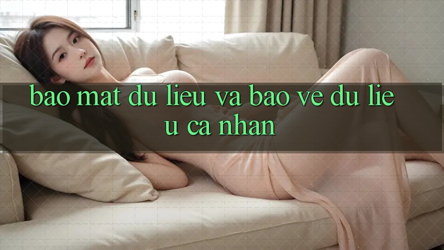 Bảo mật dữ liệu và bảo vệ dữ liệu cá nhân Bảo mật dữ liệu và bảo vệ dữ liệu cá nhân