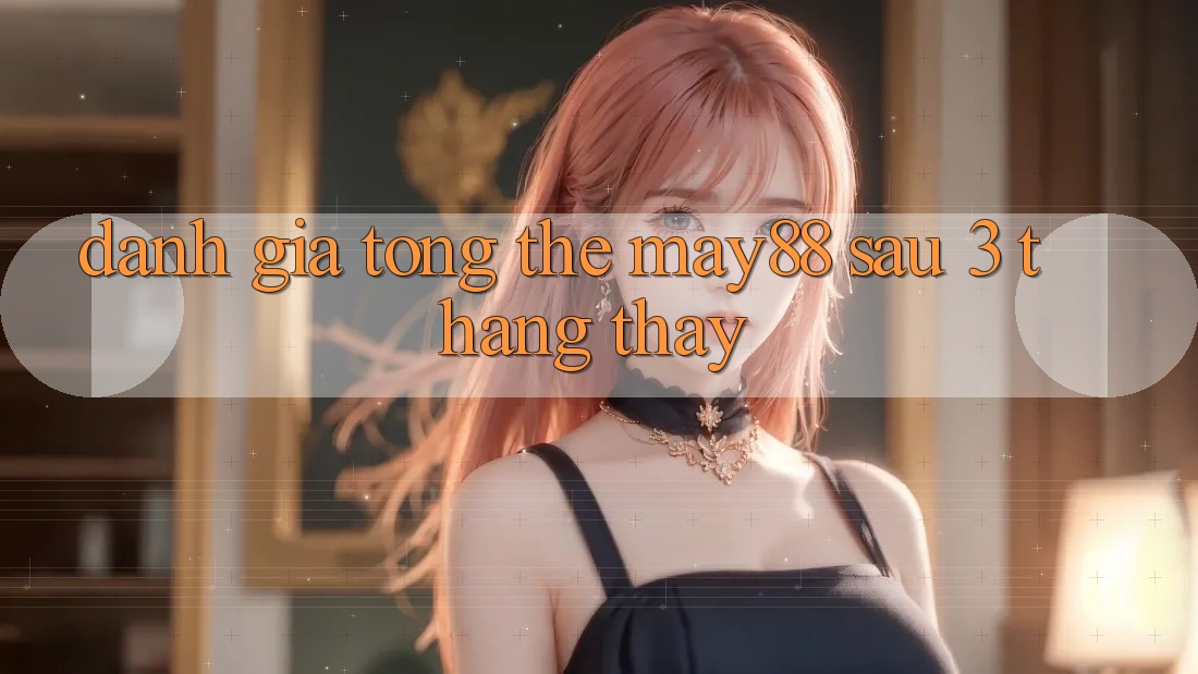 Đánh giá tổng thể May88 sau 3 tháng thấy Đánh giá tổng thể May88 sau 3 tháng thấy