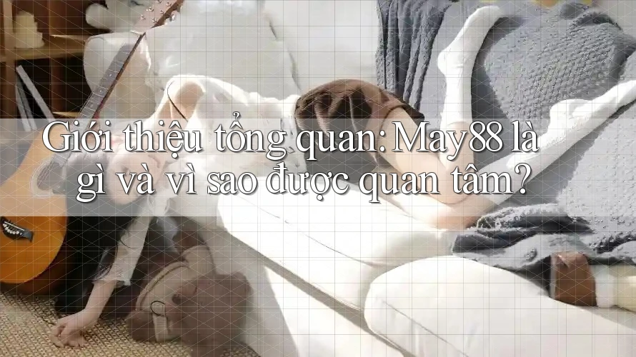 Giới thiệu tổng quan: May88 là gì và vì sao được quan tâm? Giới thiệu tổng quan: May88 là gì và vì sao được quan tâm?
