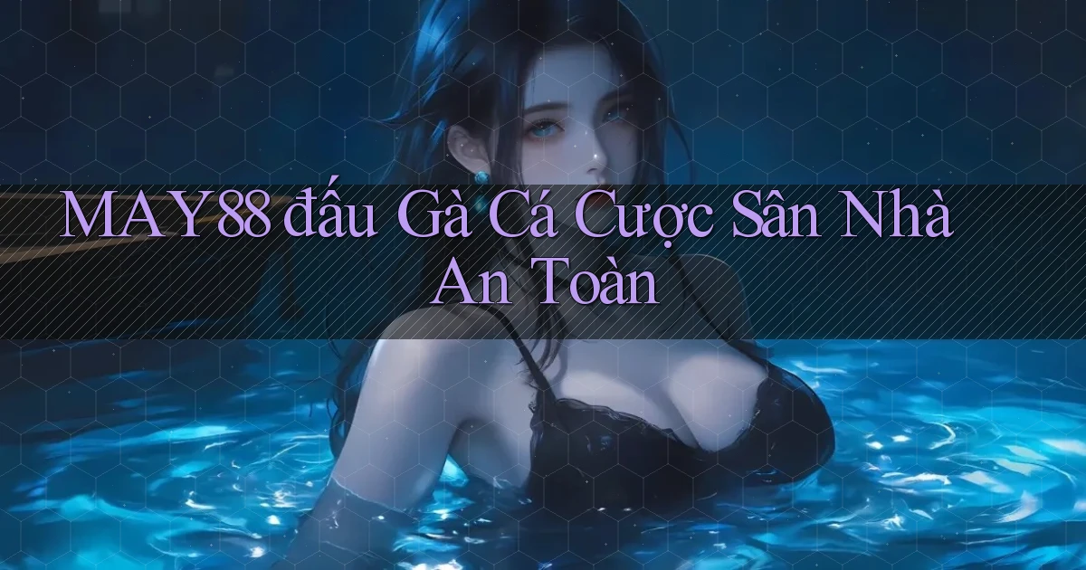 may88  đấu gà cá cược sân nhà an toàn