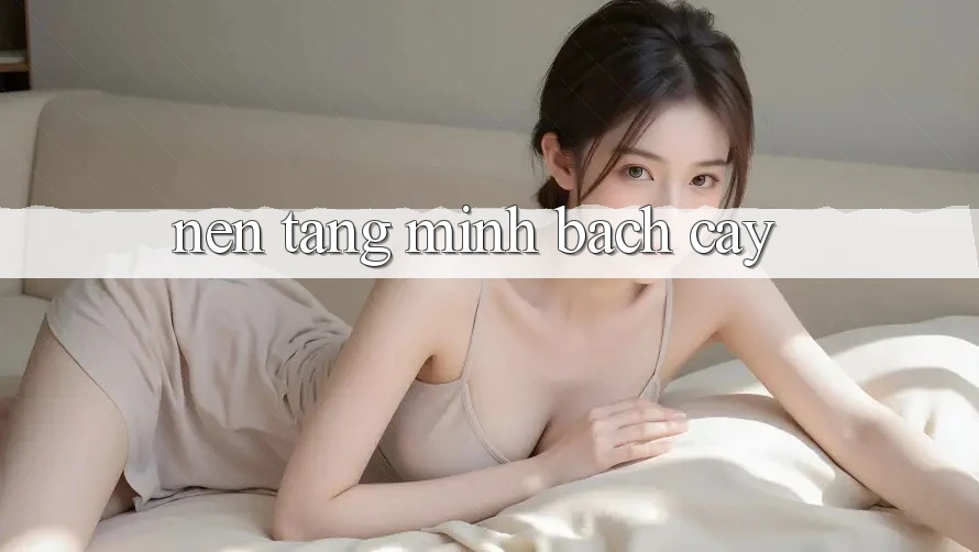 Nền Tảng Minh bạch Cậy Nền Tảng Minh bạch Cậy