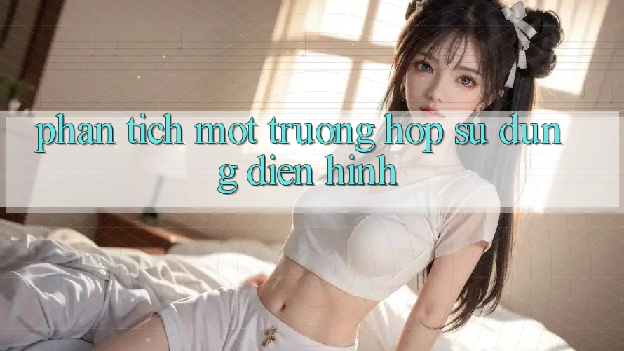 Phân Tích Một Trường Hợp Sử dụng Điển Hình Phân Tích Một Trường Hợp Sử dụng Điển Hình