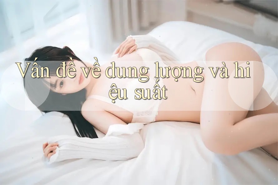 Vấn đề về dung lượng và hiệu suất Vấn đề về dung lượng và hiệu suất